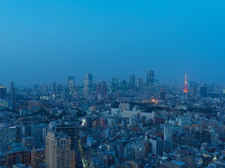 Obraz premium Tokyo Cityscape at Magic Hour with Tokyo Tower and Twilight Sky