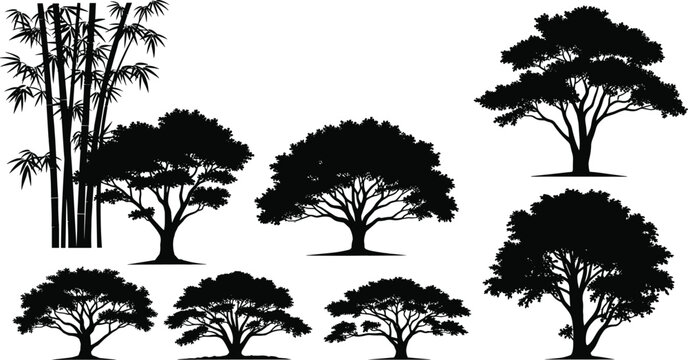 Black tree silhouette collection vector including bamboo and various forest trees isolated on white background design