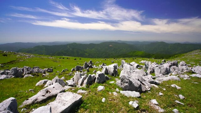 黒毛和牛と五段高原の石灰岩群と南方向の山並み