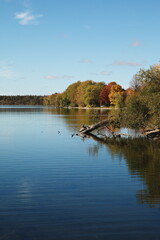 Obraz premium Lake on the Mountain lookout point in Ontario, Canada.