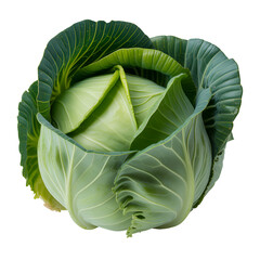 Obraz premium Fresh green cabbage with tightly wrapped leaves isolated on white background