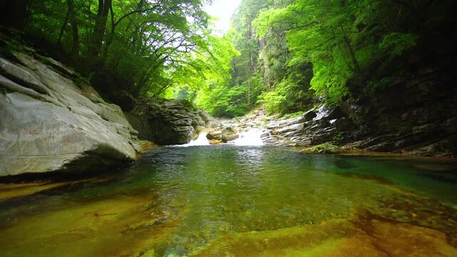 雨の面河渓