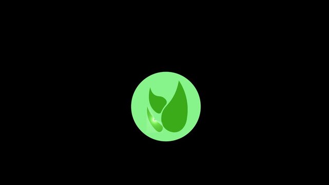 Animated text "BACK TO NATURE." Nature-themed text animation video. Text icon with leaf image. Transparent background.
