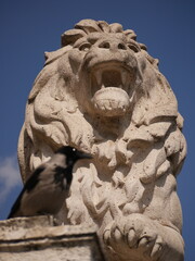 Fototapeta premium Hooded crow with a blurred lion sculpture in the background. Sharp details on the crow with a soft focus of the roaring lion statue, creating a dramatic urban wildlife scene