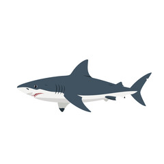 Naklejka premium Great white shark swimming isolated on plain white background