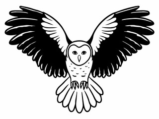 Obraz premium Barn owl descending with wings fully extended in flight