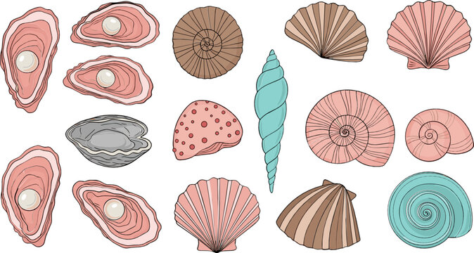 Seashell and Oyster Icon Set with Pearls, Shell Types, and Marine Elements for Coastal, Beach, and Nature Themed Designs