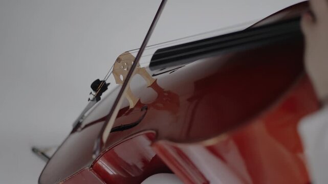 A beautiful woman sitting and playing the cello in a studio on a white background. Classical music playing stringed classical musical instruments, A female cellist plays the cello.