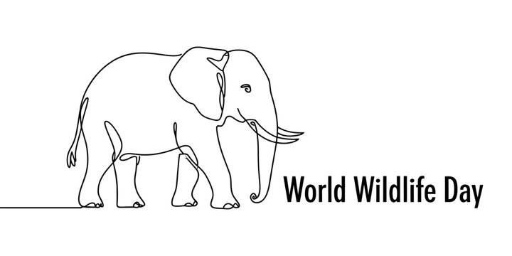 Continuous line drawing of an elephant for world wildlife day celebration on white background Vector, illustration