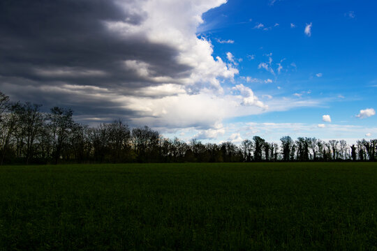 Green meadow under a divided sky featuring heavy dark storm clouds and bright blue patches with a distant line of leafless trees captured in high contrast natural light