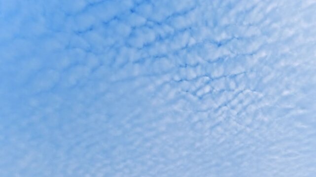 一面に広がるうろこ雲と爽やかな青空 エコ