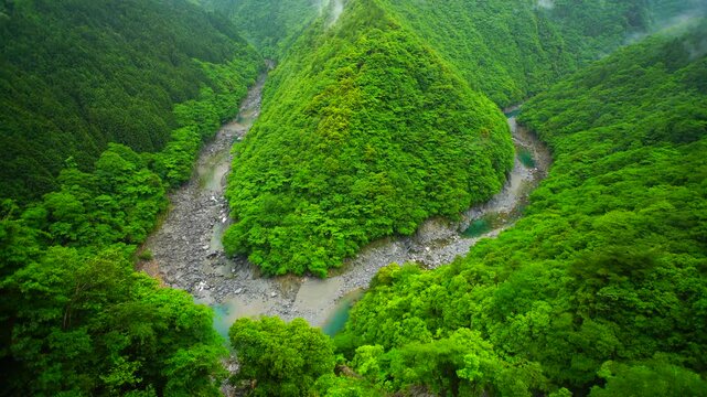 雲湧く朝のひの字溪谷