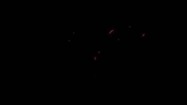Neon uterus animation red glowing female reproductive system loop