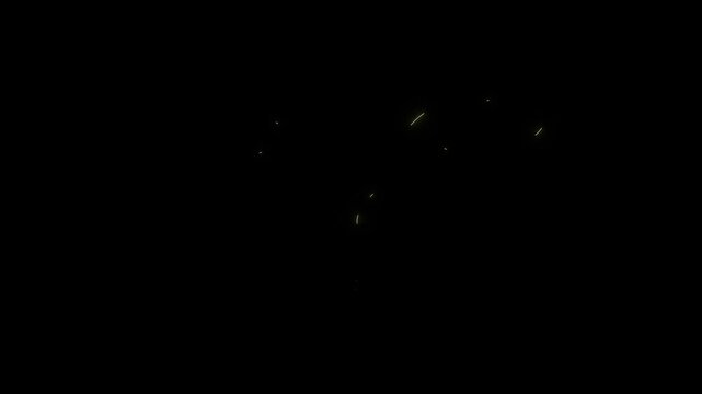 Neon uterus animation yellow glowing female reproductive system loop
