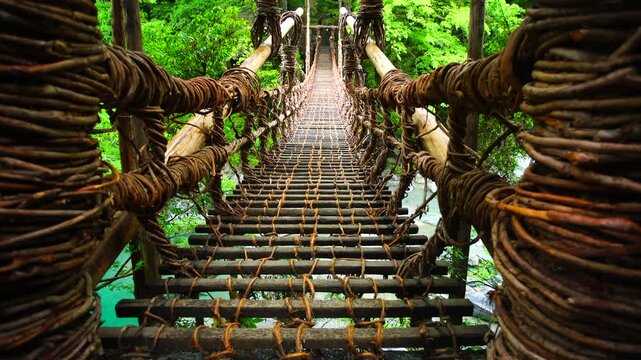 雨に濡れる朝の祖谷のかずら橋
