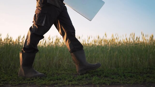 Walking across grassy field carrying laptop farmer wearing rubber boot strides through grass at sunset in agriculture setting showing soil and crop edge rural work focus on leg movement and boot
