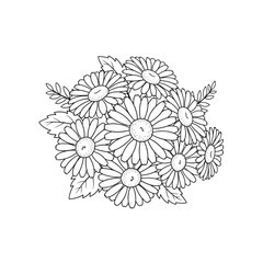 Fototapeta premium Line art Daisy flower on white 
