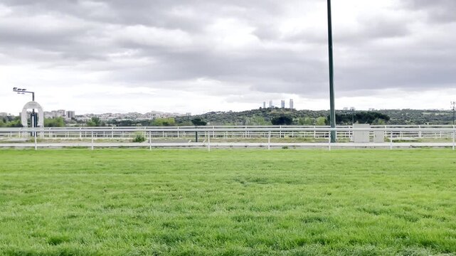 Carrera de caballos en hip&oacute;dromo galopando con jinetes y jockey en fila y grupo a m&aacute;xima velocidad en pista de hierba turf con sonido ambiente y p&uacute;blico espectador animando y gritando