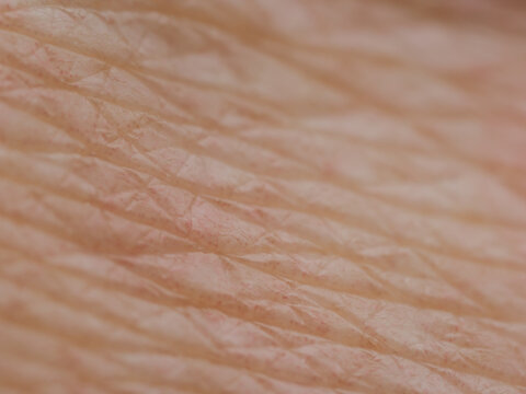 Extreme Makroaufnahme menschlicher Hautstruktur, dermatologische Textur der Epidermis