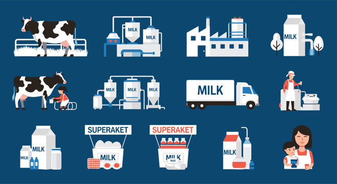 Infographic set showing the stages of milk production from cows on a farm to dairy products for the consumer.