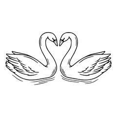 Fototapeta premium two swans forming a heart shape love for wedding design