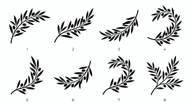 Set of black silhouette olive branch illustrations with leaves and fruit on white background, concept for organic food logo, natural cosmetic packaging and elegant wedding invitation decor