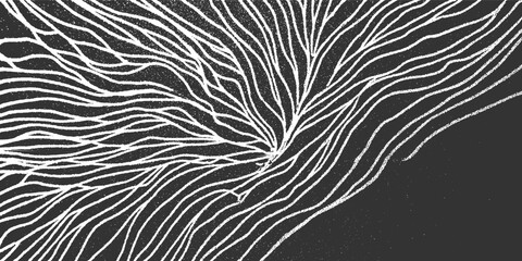 Abstract white organic lines branching and flowing across dark gray textured background © appl