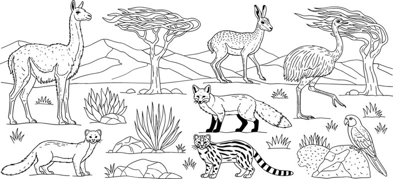 Desert Landscape Animal Set &ndash; Llama, Gazelle, Ostrich, Fox, Parrot, and More in the Wild