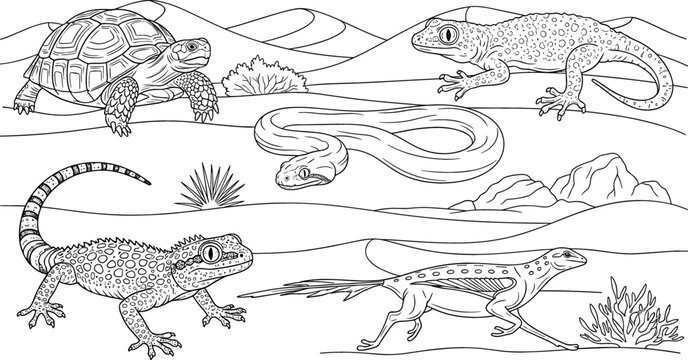 Desert Reptiles and Turtles Vector Set Featuring Snakes, Lizards, and Tortoises