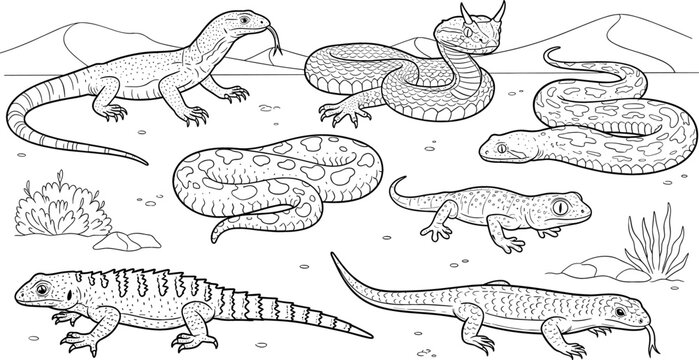 Desert Reptiles Set with Snakes, Lizards, and Salamanders in a Dry, Rocky Landscape