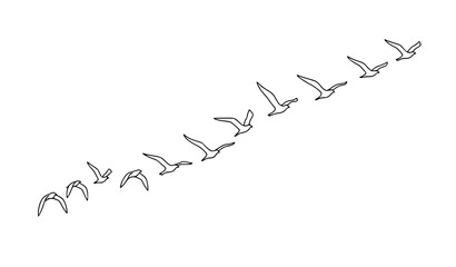 Minimal line art birds flying in V formation with dynamic diagonal composition vector illustration © MstLaily