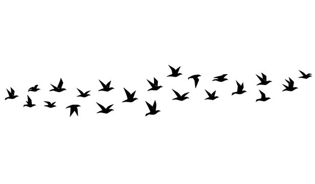 Geometric birds in V formation flying flock vector illustration modern abstract wildlife design