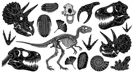 Engraved collection of ancient dinosaur fossils, detailed prehistoric creature skeletons, and primitive plant remnants, ideal for scientific and historical themed designs © HUANG
