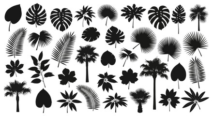 Explore a rich assortment of black vector silhouettes featuring various tropical leaves and palm trees, ideal for creating stunning botanical patterns and exotic design elements © HUANG