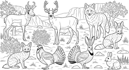 North American Desert Wildlife Scene with Deer, Coyote, Fox, Jackrabbit, and Quail in Black and White Line Art © MstJuli