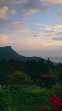 ドウダンツツジなどの紅葉と子檀嶺岳と朝日と白樺の木立