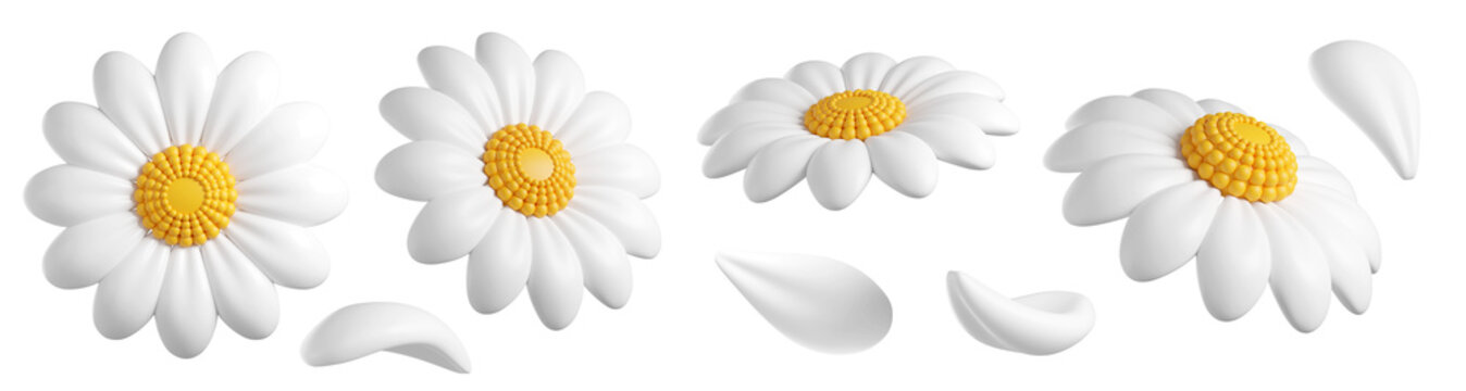 Set of cute 3d Daisy Flower. Floating Cartoon chamomile bloom with white petals for spring, kids, summer design. 3d render 
