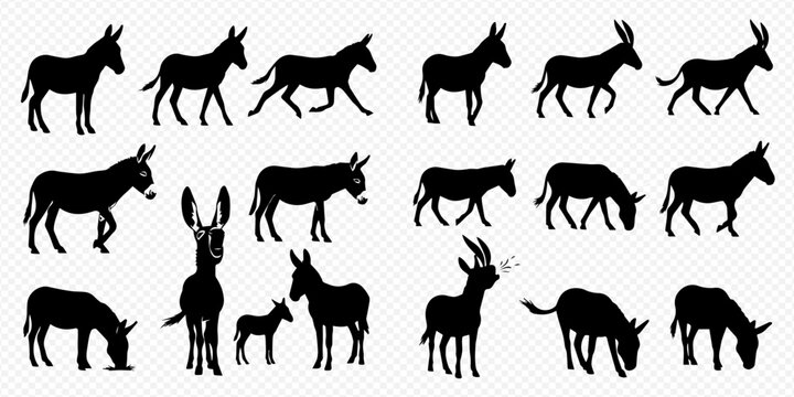 Set of donkey silhouettes in various poses including walking, standing, and eating, isolated on a white background, perfect for farm animal illustrations and graphic design.