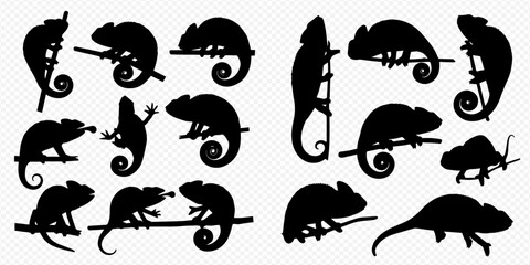Collection of chameleon silhouettes in various poses on branches, showcasing different reptile shapes and actions. © Akun