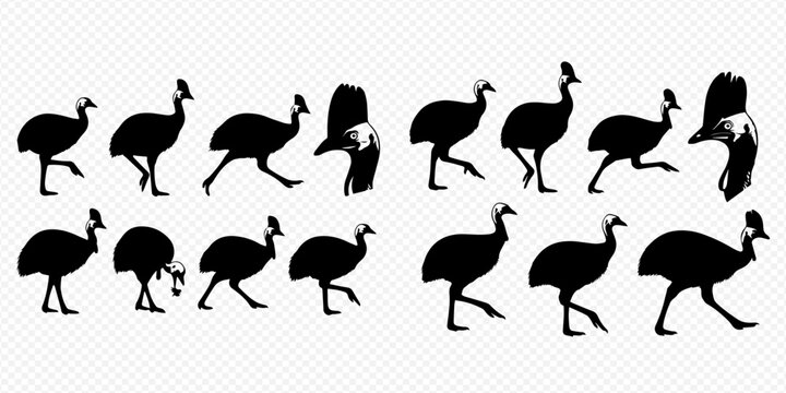 Cassowary bird walking animation sprite sheet in black silhouette.