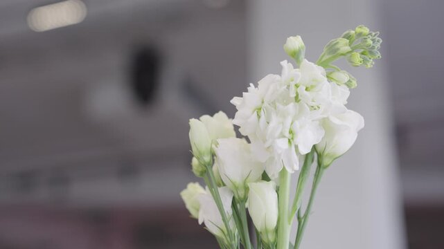 Bouquet of white eustoma flowers indoors