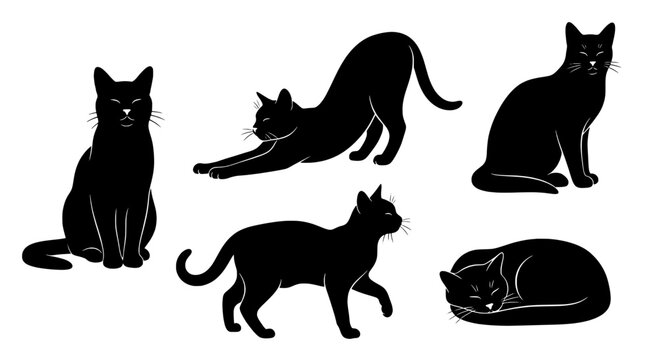 Cats black silhouette set with sitting, stretching, and curled up poses on white background featuring cat silhouettes, feline, cat collection with
