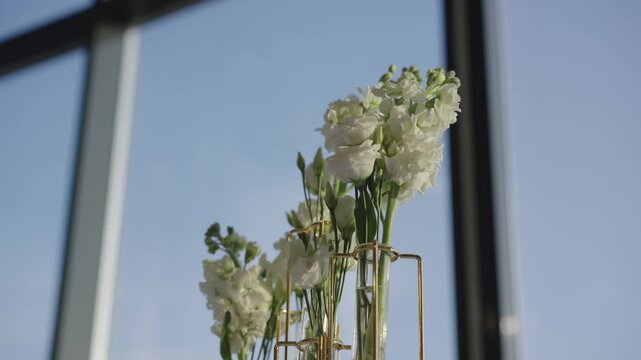 Bouquet of white eustoma flowers in a beautiful sophisticated golden vase on the background of a window with a blue sky