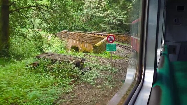 View from Alishan Forest Railway Train Window Through Mountain Forest in Taiwan