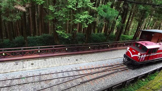 Top View of Alishan Forest Railway Train Running Through Mountain Forest in Taiwan