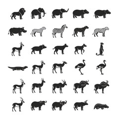 Fototapeta premium Tiger Silhouette with Stripes on White Background animal.
