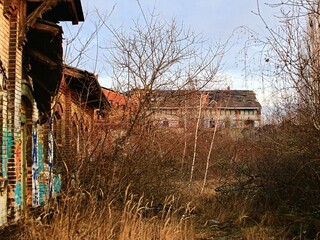 Fototapeta premium Abandoned industrial buildings surrounded by overgrown vegetation and bare trees