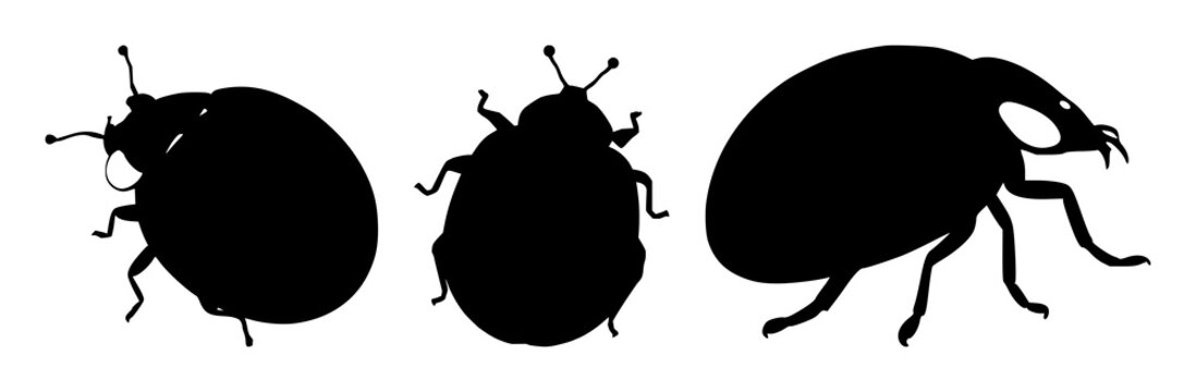 Ladybug silhouette set with a black outline shape featuring a beetle, insect, bug with a symmetrical view and simple graphic design
