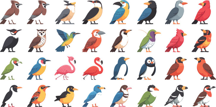 Big set of colorful birds with flying wildlife characters, exotic fauna collection featuring woodpecker, flamingo and goose vector illustration