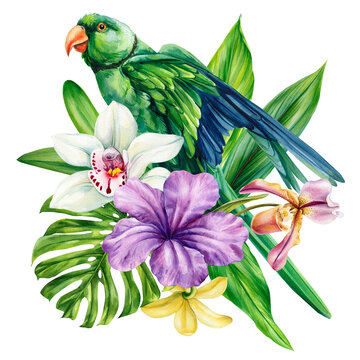 green parakeet watercolor clipart with orchid flowers and tropical leaves isolated on light background for exotic botanical decor